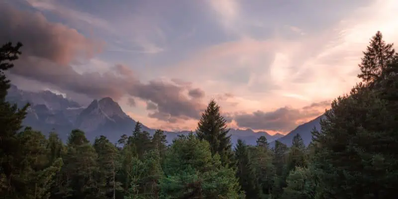 view of the mountains over the treetops