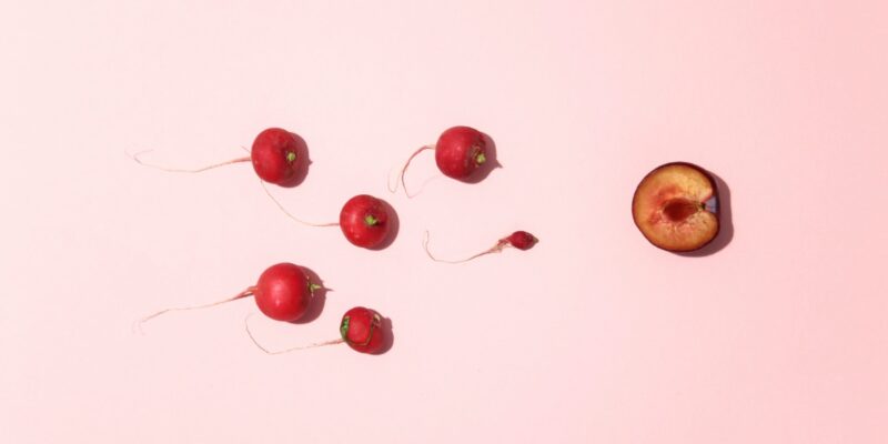 radishes and half a plum, representing sperm and egg