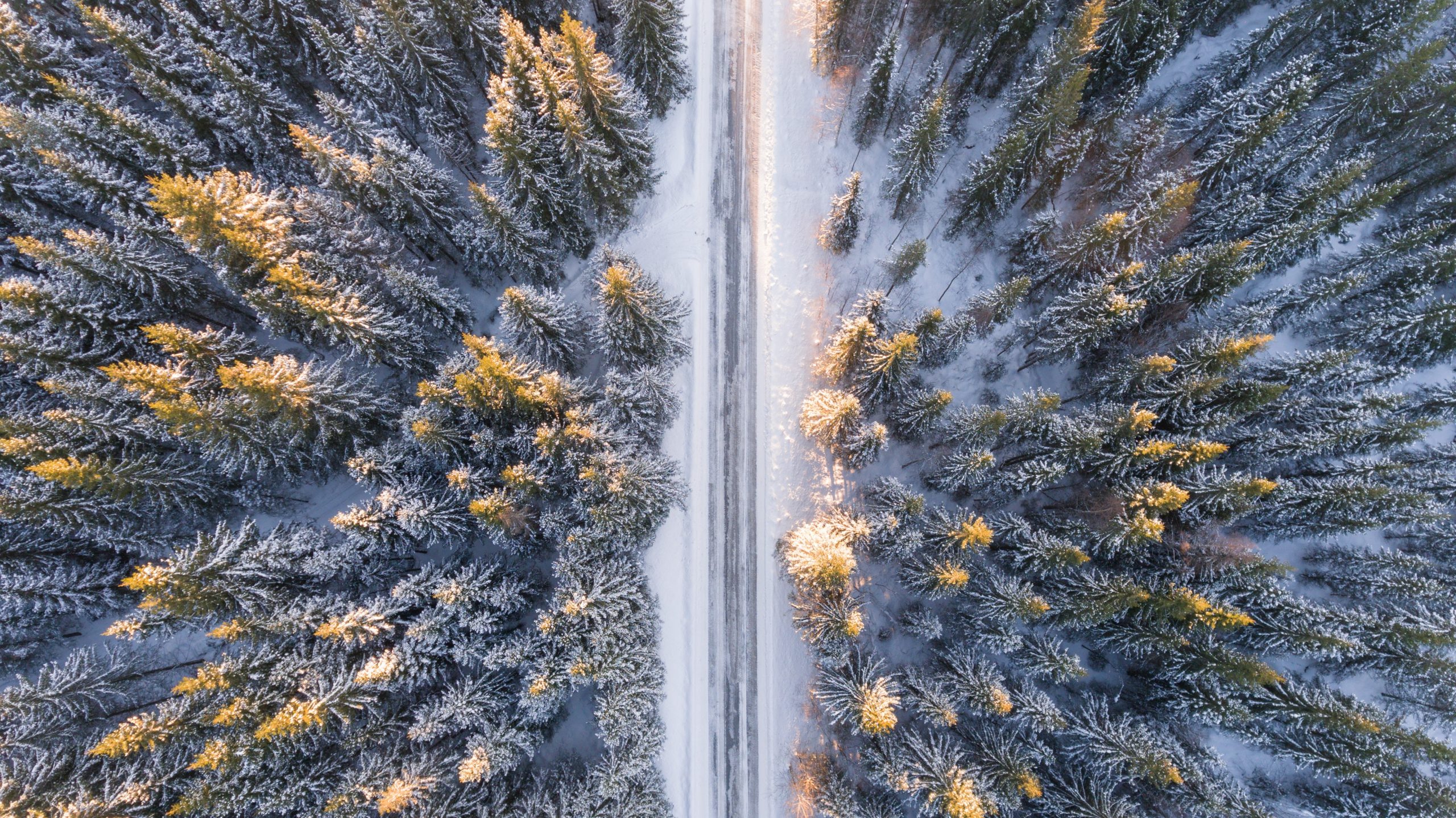 aerial view of road through snowy forest